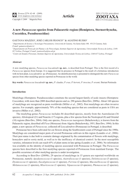 Zootaxa, a New Paracoccus Species from Palaearctic Region (Hemiptera, Sternorrhyncha