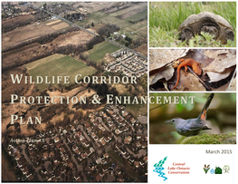 Wildlife Corridor Protection and Enhancement Plan