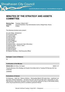 Minutes of Strategy and Assets Committee