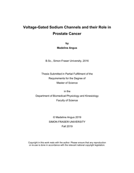 Non-Canonical Functions of Voltage-Gated Sodium Channels