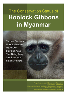 The Conservation Status of Hoolock Gibbons in Myanmar