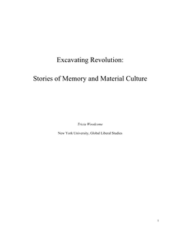 Excavating Revolution