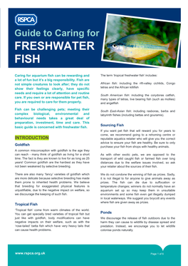 Guide to Caring for FRESHWATER FISH