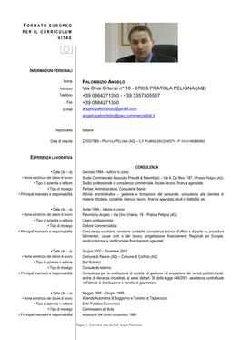 Formato Europeo Per Il Curriculum Vitae