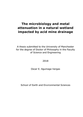 The Microbiology and Metal Attenuation in a Natural Wetland Impacted by Acid Mine Drainage