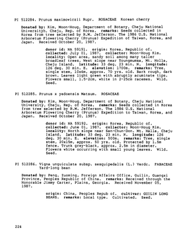 PI 512284. Prunus Maximowiczii Rupr. ROSACEAE Korean Cherry Donated By: Kimf Moon-Houg, Department of Botany, Cheju National