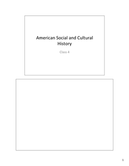 American Social and Cultural History