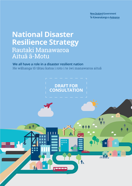 Proposed National Disaster Resilience Strategy