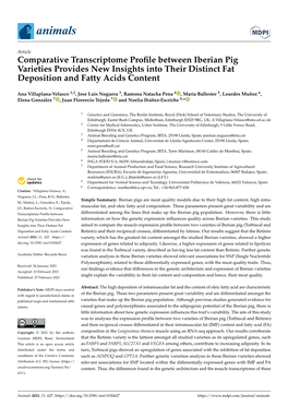 Comparative Transcriptome Profile Between Iberian Pig Varieties