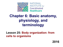 Chapter 6: Basic Anatomy, Physiology, and Terminology