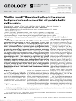 Reconstructing the Primitive Magmas Fueling Voluminous Silicic Volcanism Using Olivine-Hosted Melt Inclusions Simon J