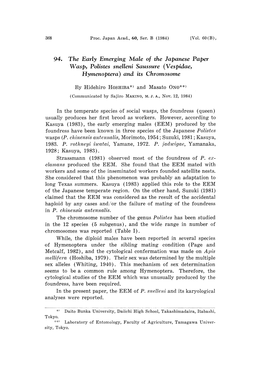 (Vespidae, Hymenoptera) and Its Chromosome