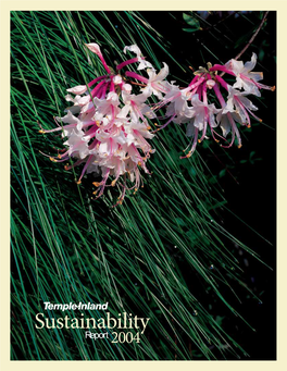 Sustainability Report 2004 E3339b Report 1/3/05 9:46 AM Page 2 E3339b Report 1/3/05 9:46 AM Page 3