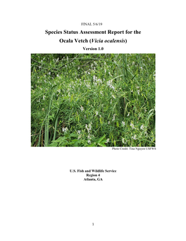 Species Status Assessment Report for the Ocala Vetch (Vicia Ocalensis) Version 1.0