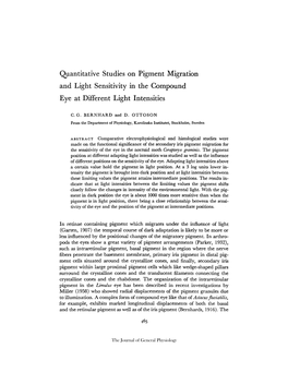 Quantitative Studies on Pigment Migration and Light Sensitivity in the Compound Eye at Different Light Intensities