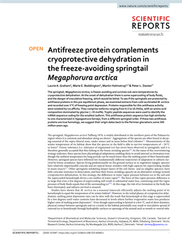 Antifreeze Protein Complements Cryoprotective Dehydration in the Freeze-Avoiding Springtail Megaphorura Arctica Laurie A