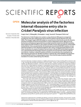 Molecular Analysis of the Factorless Internal Ribosome Entry Site in Cricket Paralysis Virus Infection Received: 22 September 2016 Craig H