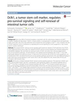 Dclk1, a Tumor Stem Cell Marker, Regulates Pro-Survival Signaling And