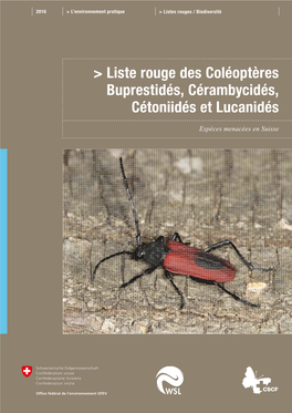 Liste Rouge Des Coléoptères Buprestidés, Cérambycidés, Cétoniidés Et Lucanidés