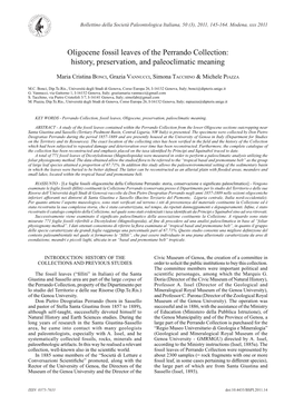 Oligocene Fossil Leaves of the Perrando Collection: History, Preservation, and Paleoclimatic Meaning