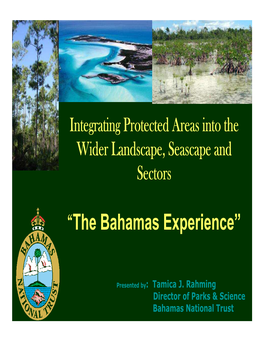 BAHAMAS Presentation CBD Regional Meeting November 2009