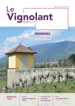 MILVIGNES La Restauration Du Tintabenet