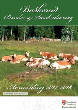 Årsmelding 2017-2018