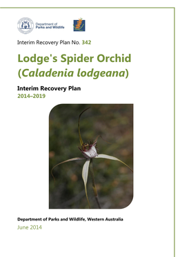 Caladenia Lodgeana)