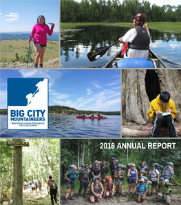 2016 Annual Report