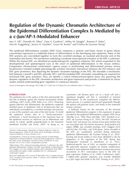 Regulation of the Dynamic Chromatin Architecture of the Epidermal Differentiation Complex Is Mediated by a C-Jun/AP-1-Modulated Enhancer Inez Y