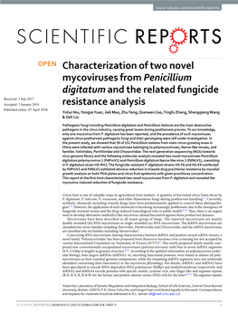 Characterization of Two Novel Mycoviruses from Penicillium