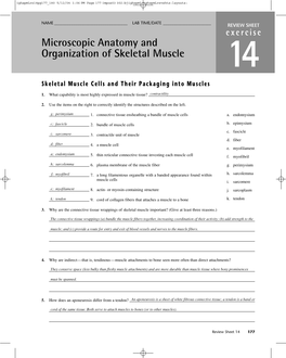 Microscopic Anatomy and Organization of Skeletal Muscle 14 Skeletal Muscle Cells and Their Packaging Into Muscles