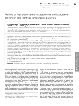 Profiling of High-Grade Central Osteosarcoma and Its Putative Progenitor Cells Identifies Tumourigenic Pathways