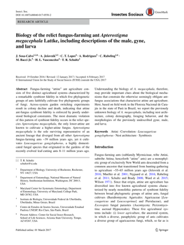 Biology of the Relict Fungus-Farming Ant Apterostigma Megacephala Lattke, Including Descriptions of the Male, Gyne, and Larva