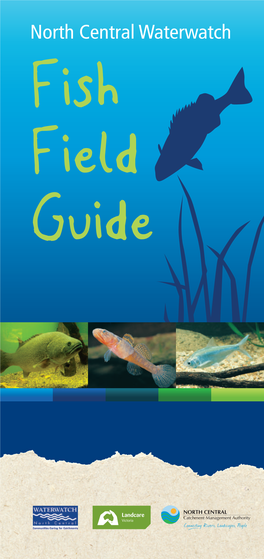 North Central Waterwatch Fish Field Guide
