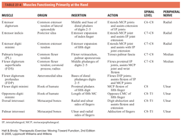 TABLE 27-4 Muscles Functioning Primarily at the Hand