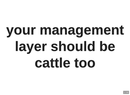 Your Management Layer Should Be Cattle Too (Slides)