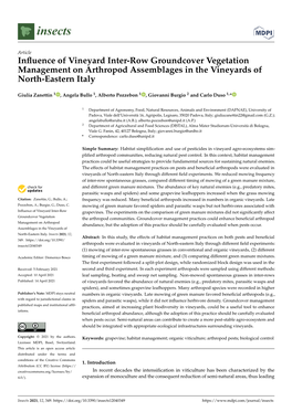 Influence of Vineyard Inter-Row Groundcover Vegetation