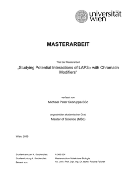 Masterarbeit