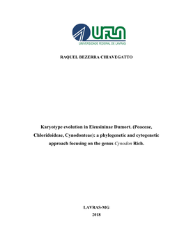 Karyotype Evolution in Eleusininae Dumort. (Poaceae, Chloridoideae, Cynodonteae): a Phylogenetic and Cytogenetic Approach Focusing on the Genus Cynodon Rich