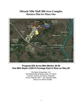Miracle Mile Mall 300-Acre Complex Business Plan for Phase One