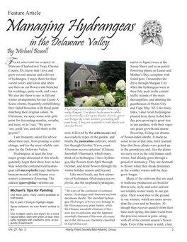 Managing Hydrangeas in the Delaware Valley by Michael Bowell