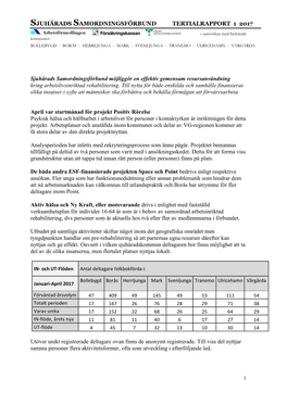 Tertialrapport 1 2017