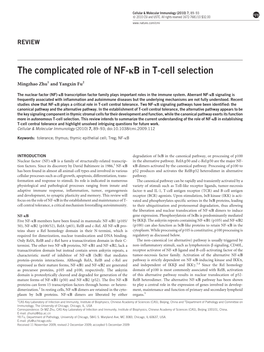 The Complicated Role of NF-Κb in T-Cell Selection