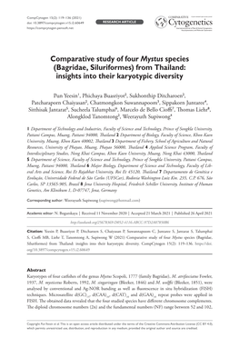 Comparative Study of Four Mystus Species (Bagridae, Siluriformes) from Thailand: Insights Into Their Karyotypic Diversity