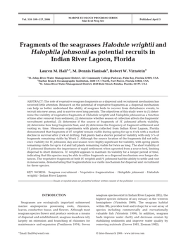 Fragments of the Seagrasses Halodule Wrightii and Halophila Johnsonii As Potential Recruits in Indian River Lagoon, Florida