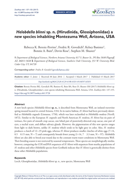 Hirudinida, Glossiphoniidae) a New Species