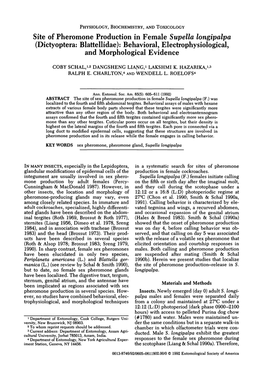 Site of Pheromone Production in Female Supella Longipalpa (Dictyoptera: Blattellidae): Behavioral, Eleetrophysiologieal, and Morphological Evidence