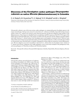 Discovery of the Eucalyptus Canker Pathogen Chrysoporthe