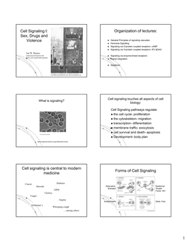 Cell Signaling I